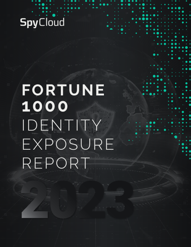 财富 1000 强身份曝光报告 2023