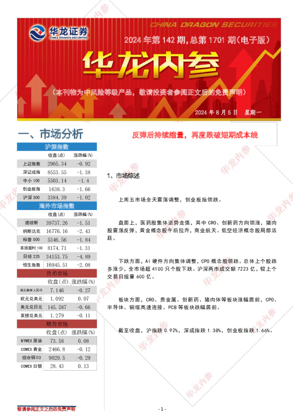 华龙内参2024年第142期，总第1701期（电子版）