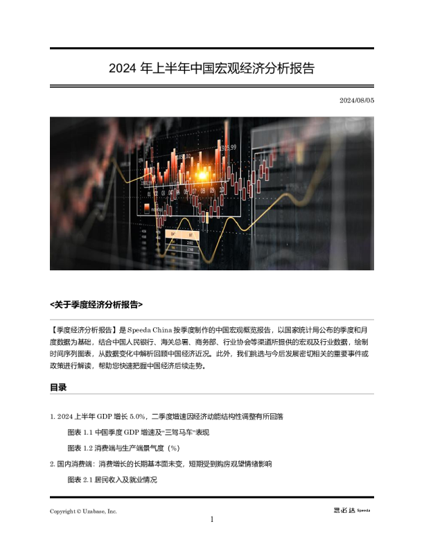 2024年上半年中国宏观经济分析报告