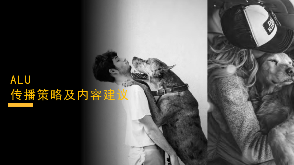 ALU宠物品牌策略及内容传播建议