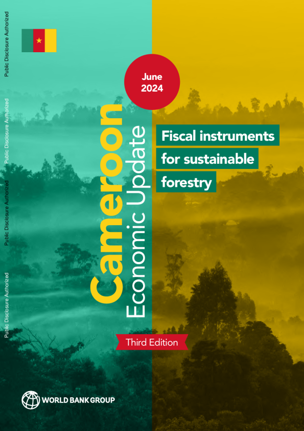喀麦隆经济更新 ， 2024 年 6 月