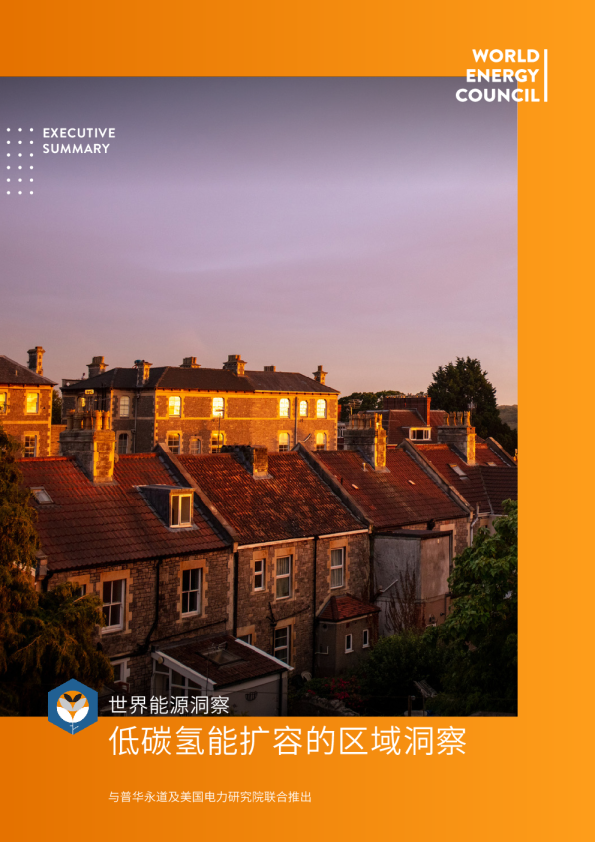 低碳氢能扩容的区域洞察
