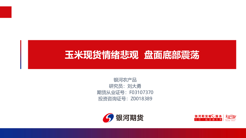 玉米现货情绪悲观 盘面底部震荡