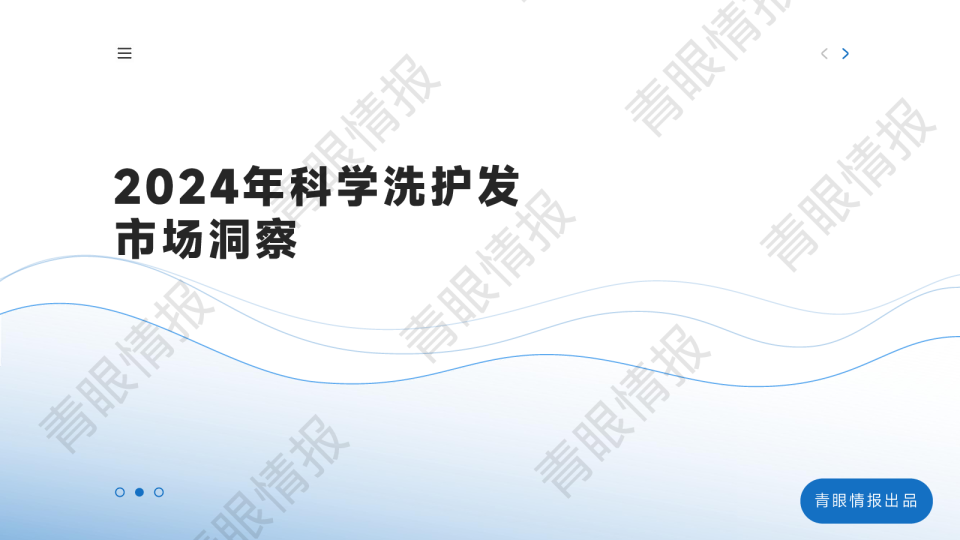 2024年科学洗护发市场洞察