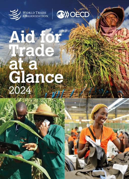 2024 年贸易援助概览