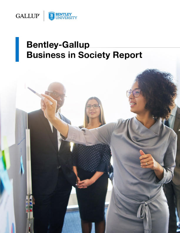 商业与社会报告