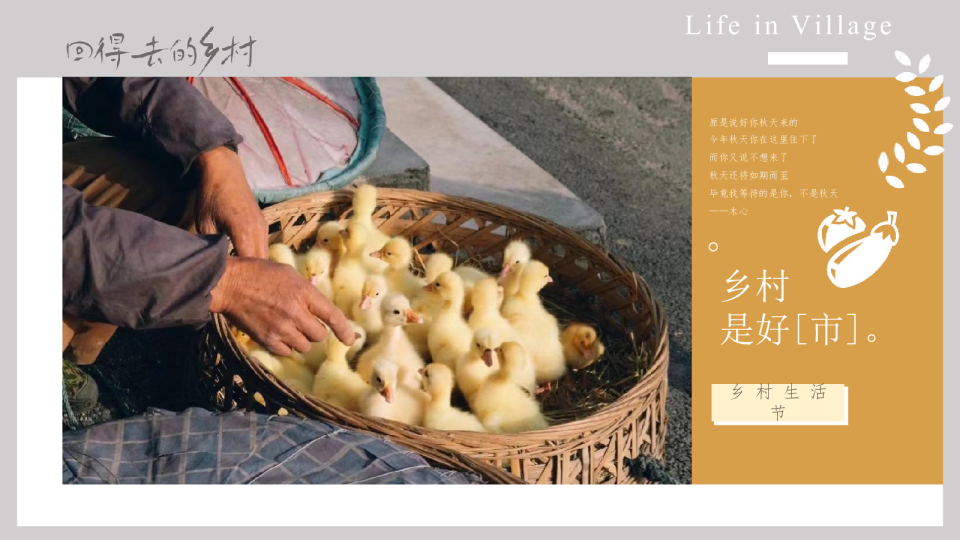 回得去的乡村：乡村生活节主题活动策划方案