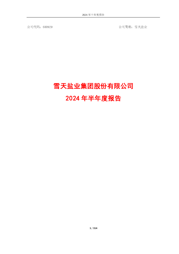 雪天盐业：2024年半年度报告