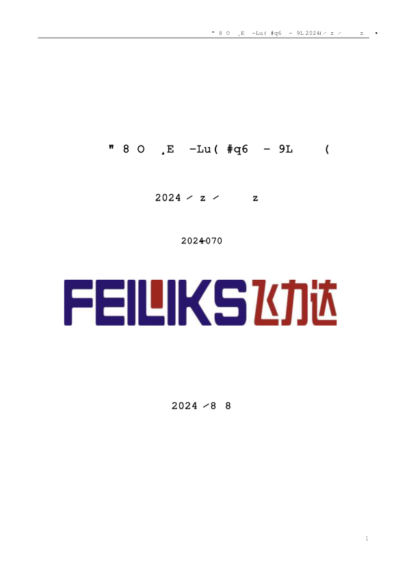 飞力达：2024年半年度报告