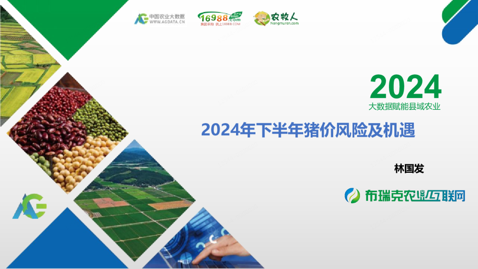 2024年下半年猪价风险及机遇