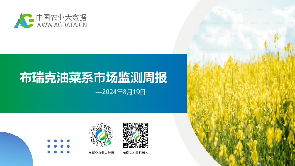 菜系市场监测周报（20240819）：加拿大油菜籽生长情况良好