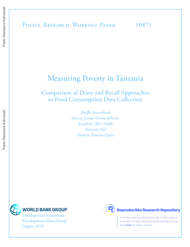 衡量坦桑尼亚的贫困