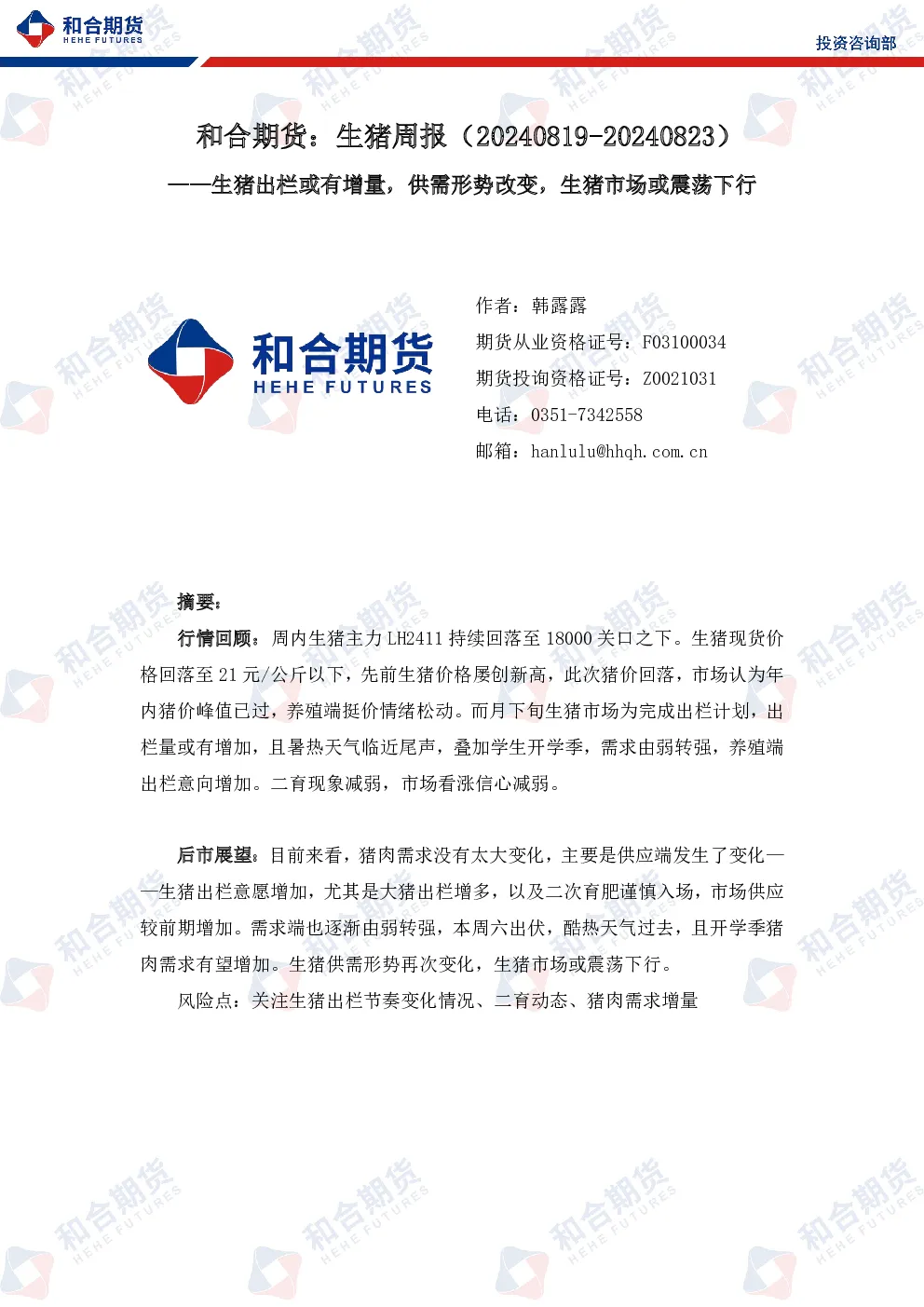 报告封面