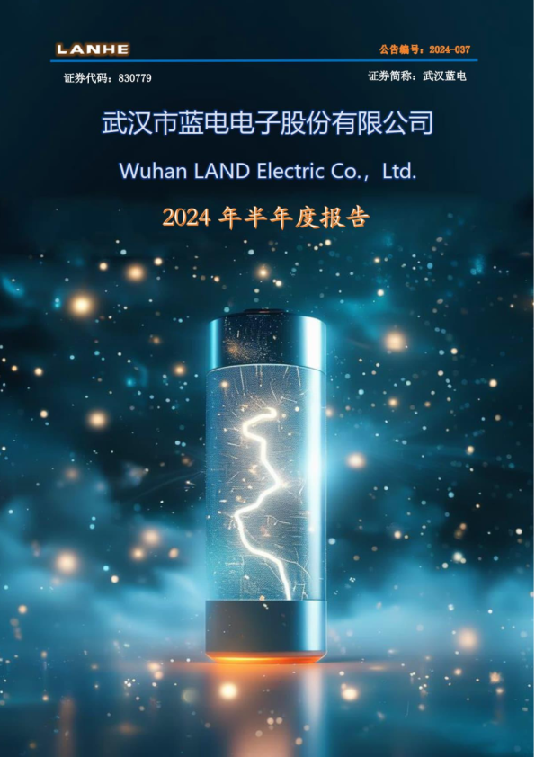 武汉蓝电：2024年半年度报告