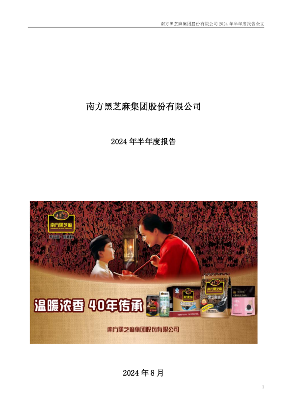 黑芝麻:2024年半年度报告