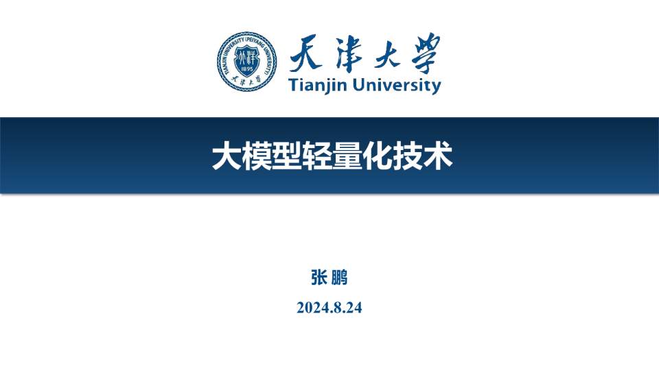 2024年大模型轻量化技术研究报告