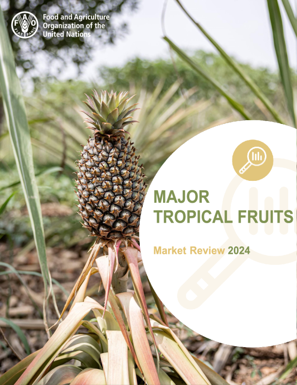 主要热带水果市场回顾