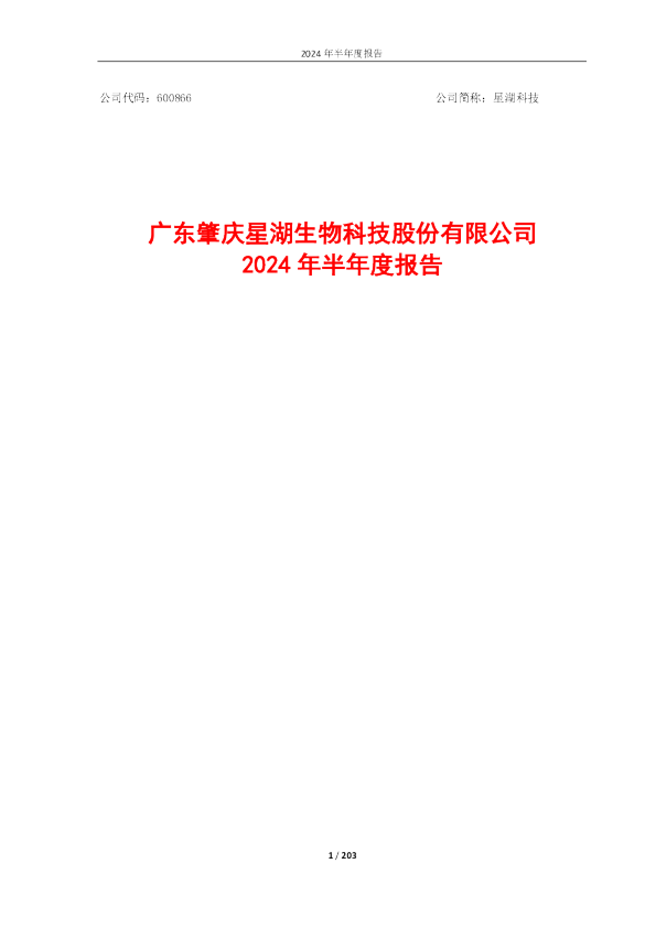 星湖科技：2024年半年度报告