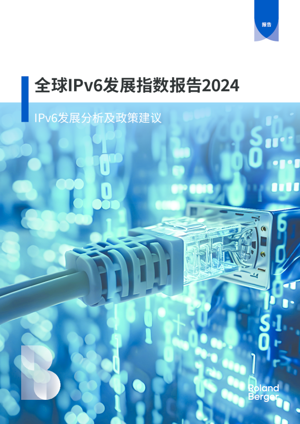 2024全球IPv6发展指数报告