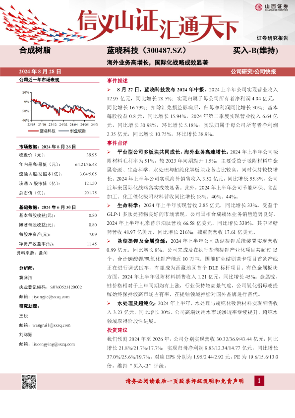 海外业务高增长，国际化战略成效显著