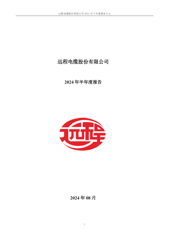 远程股份：2024年半年度报告
