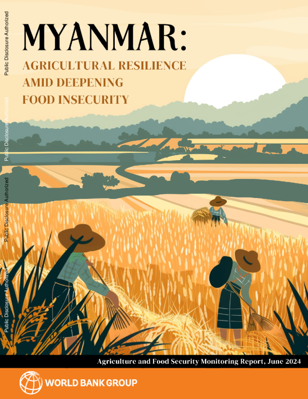 缅甸 - 在加深粮食不安全的情况下的农业复原力