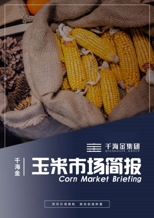 玉米市场简报