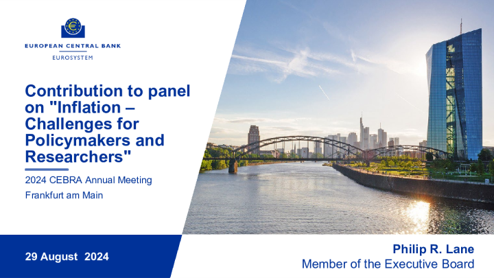 对“通货膨胀——政策制定者和研究人员面临的挑战”小组的贡献