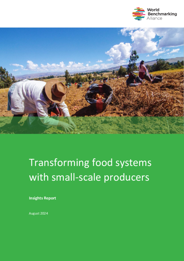 与小规模生产者一起改造粮食系统