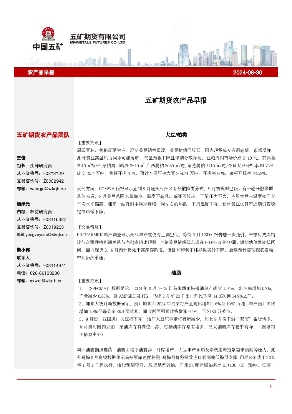 报告封面