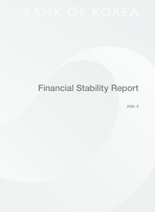 金融稳定报告（2024年6月）