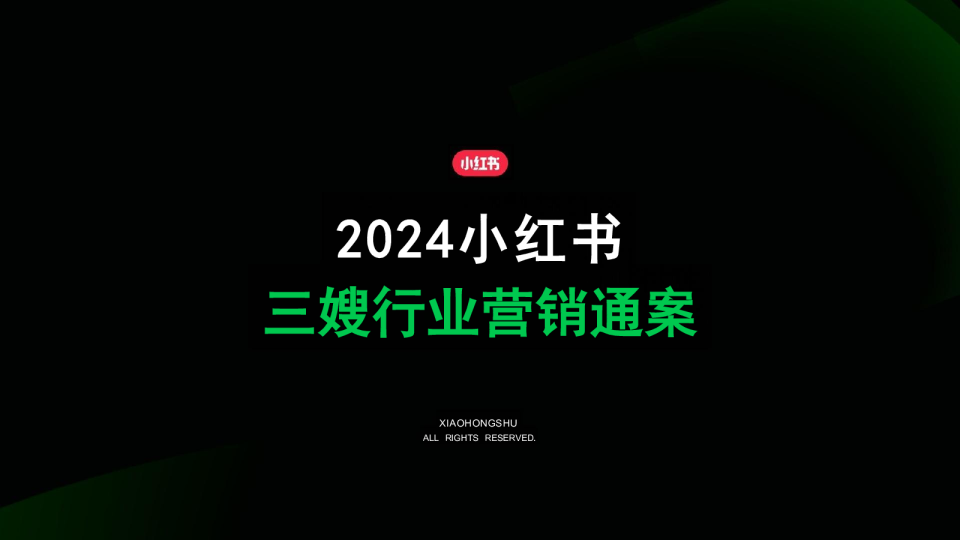 2024年三嫂行业营销通案