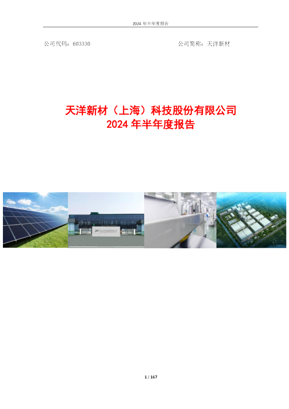 天洋新材：天洋新材2024年半年度报告