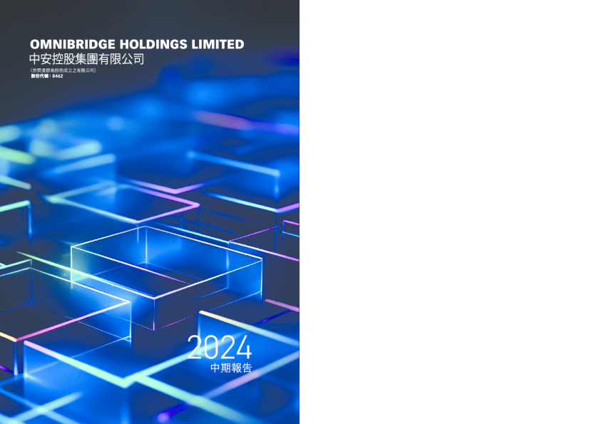 中安控股集团中期报告2024