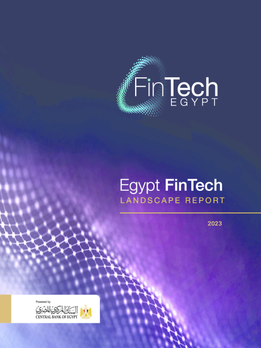 2023年埃及金融科技格局