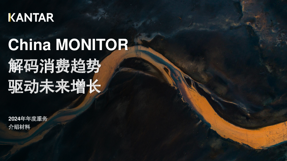 2024上半年消费者洞察报告