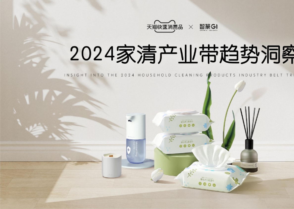 2024家清产业带趋势洞察