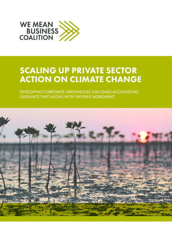 扩大私营部门应对气候变化的行动2024