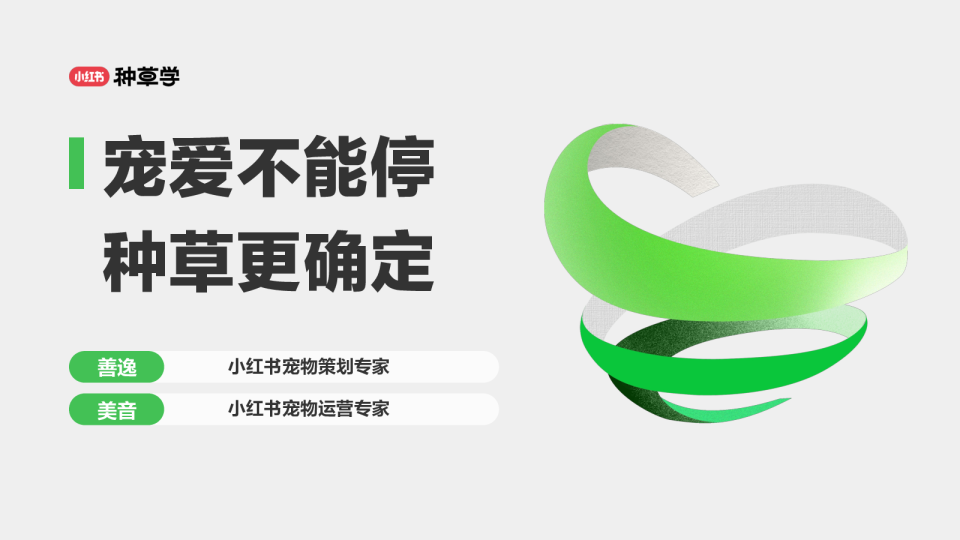 双11宠物趋势概览、策略打法及电商机会点