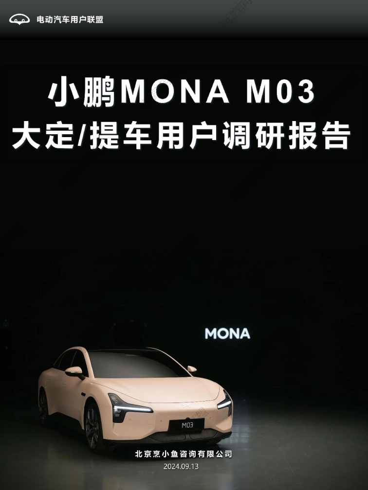 小鹏MONA M03大定用户调研报告（0913）pptx(1)