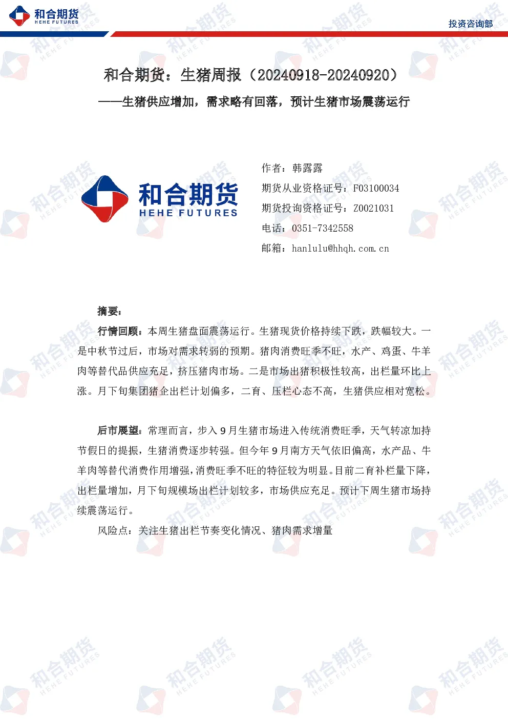 报告封面