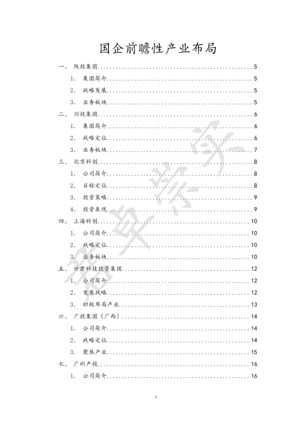 2024国有企业前瞻性产业布局研究报告