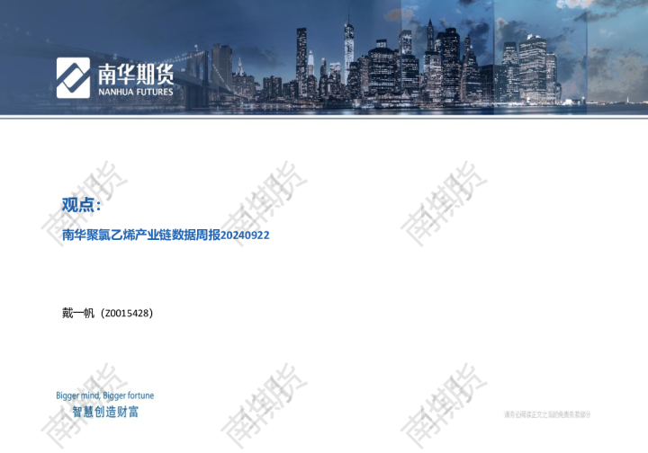聚氯乙烯20240922