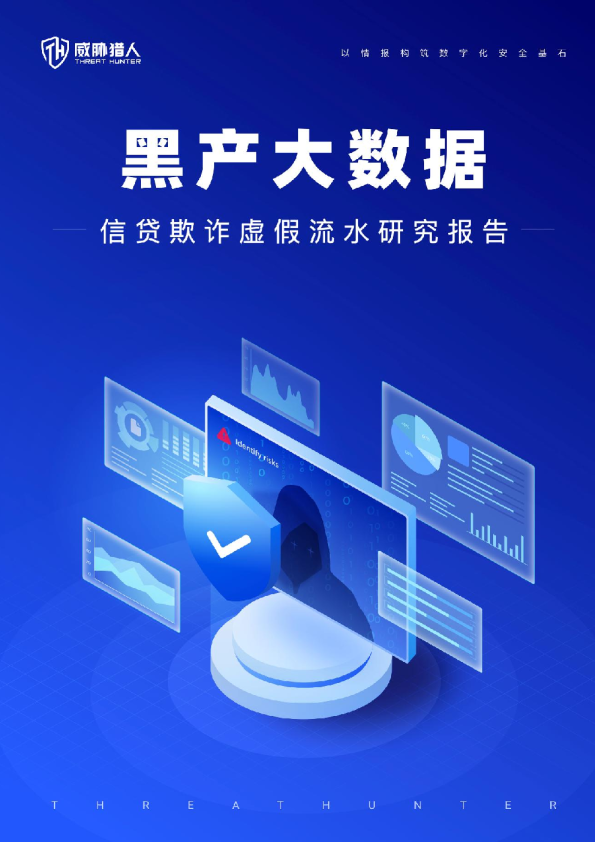 2024年信贷欺诈虚假流水研究报告