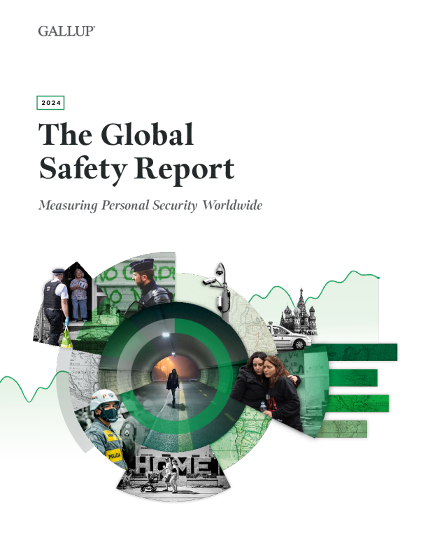 2024年全球安全报告