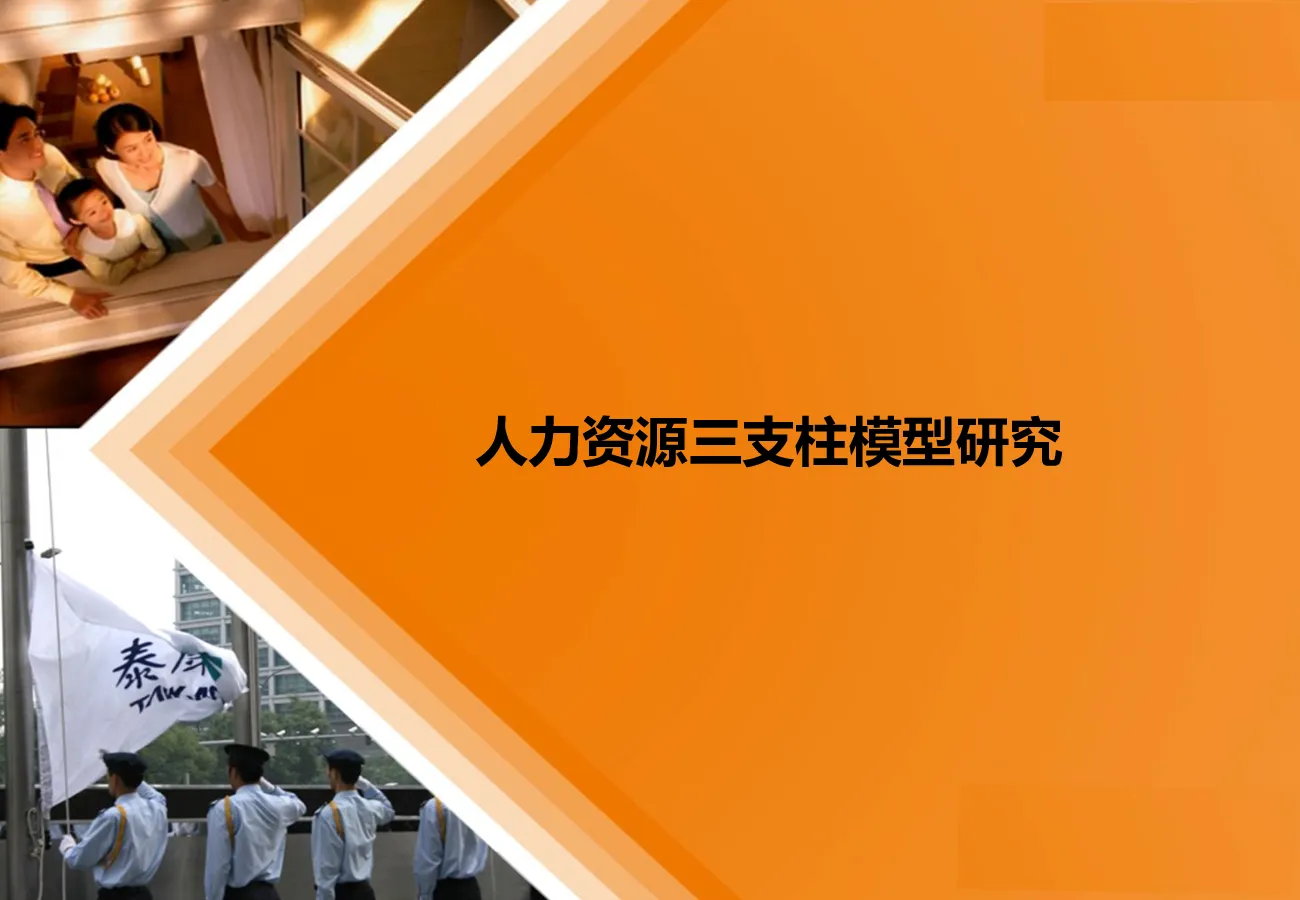 人力资源三支柱模型研究