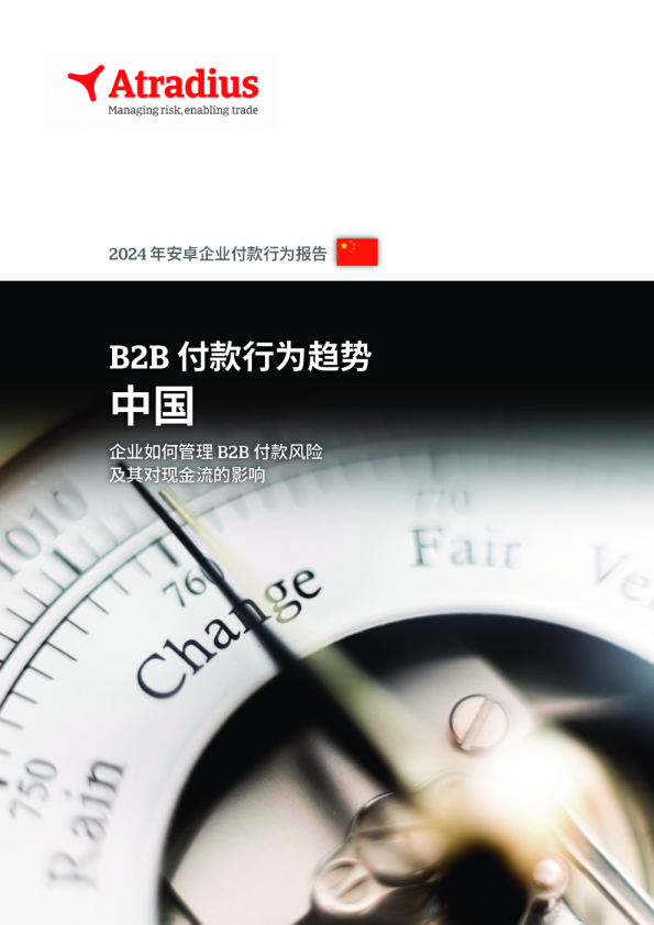 B2B 付款行为趋势 中国 2024