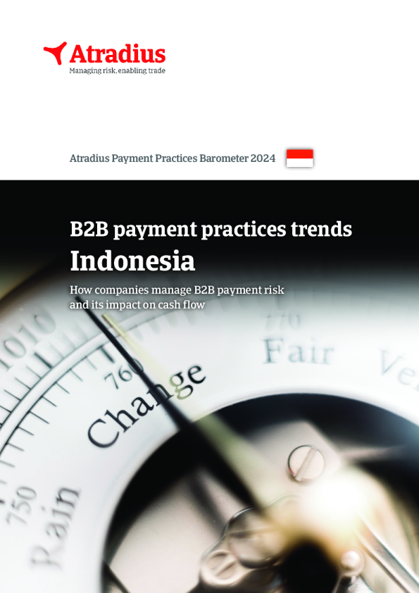 Trend of B2B Payment Practices in Indonesia in 2024