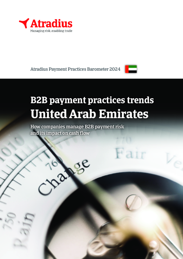 2024年阿联酋B2B支付实践趋势