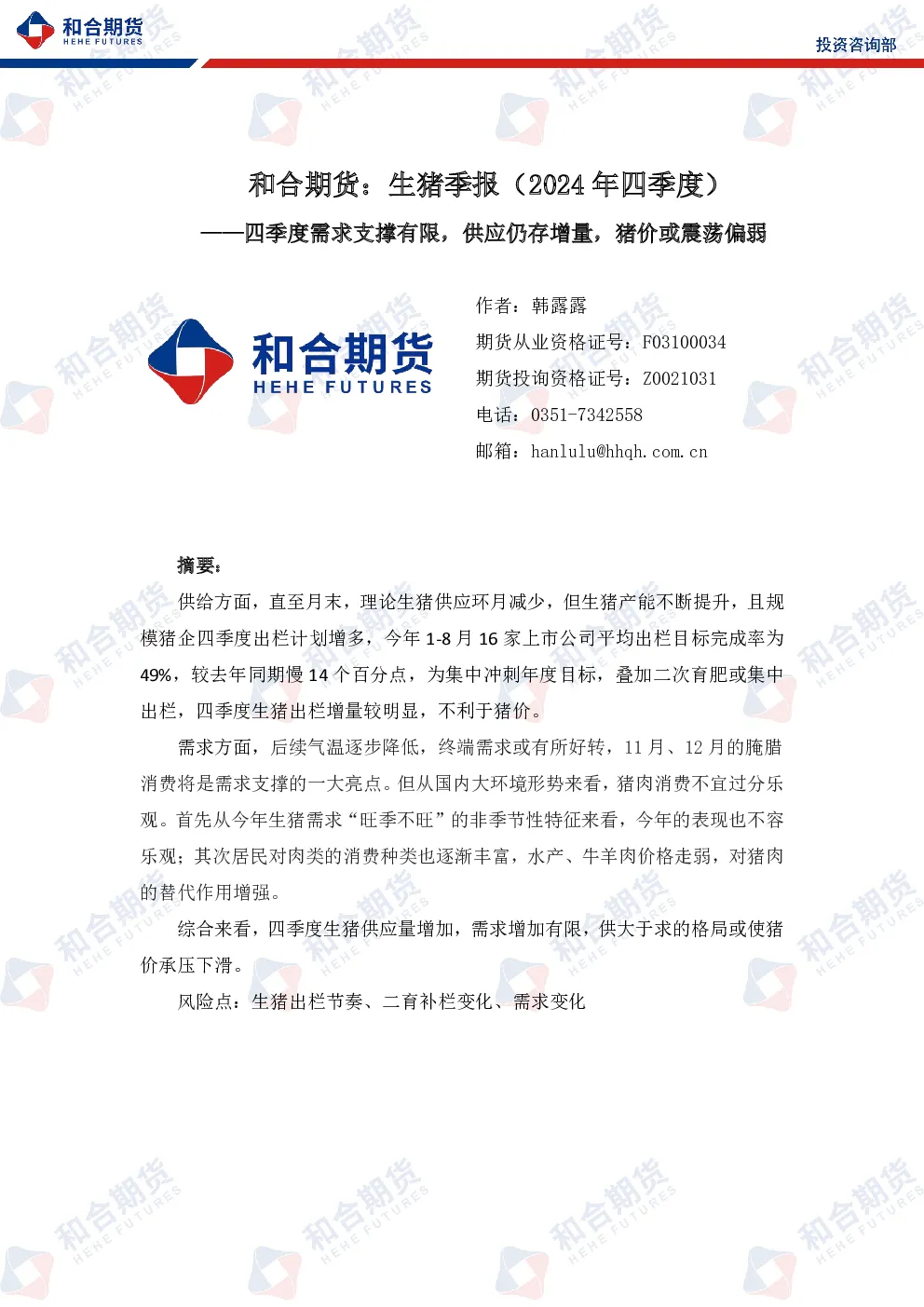 报告封面